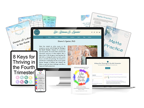 8 Keys for Thriving in the Fourth Trimester course bundle